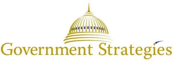 Govt Strategies-1